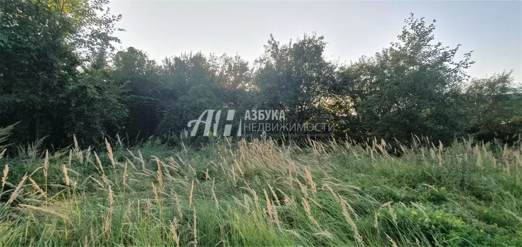 Участок в Московская область, Одинцовский городской округ, Матвейково ... - Фото 1