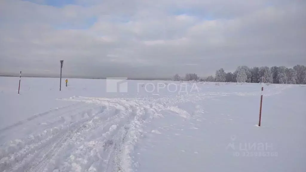 Участок в Кемеровская область, Новокузнецкий муниципальный округ, с. ... - Фото 1