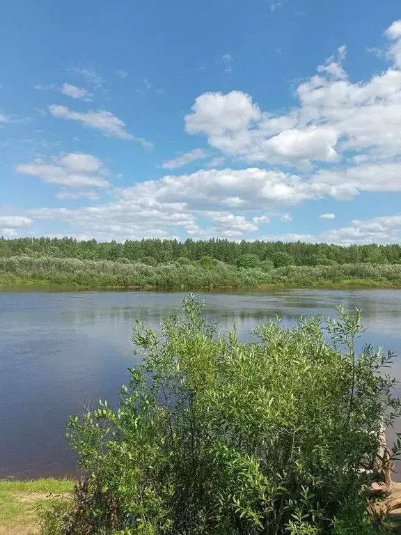 Участок в Нижегородская область, Варнавинский муниципальный округ, с. ... - Фото 0