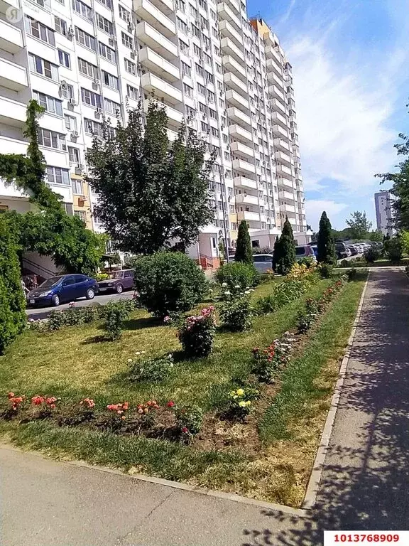 Квартира-студия: Краснодар, улица Генерала Трошева, 17 (28 м) - Фото 0