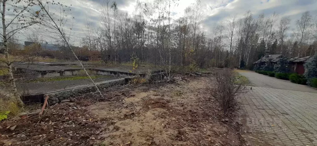 Участок в Московская область, Солнечногорск городской округ, ... - Фото 1