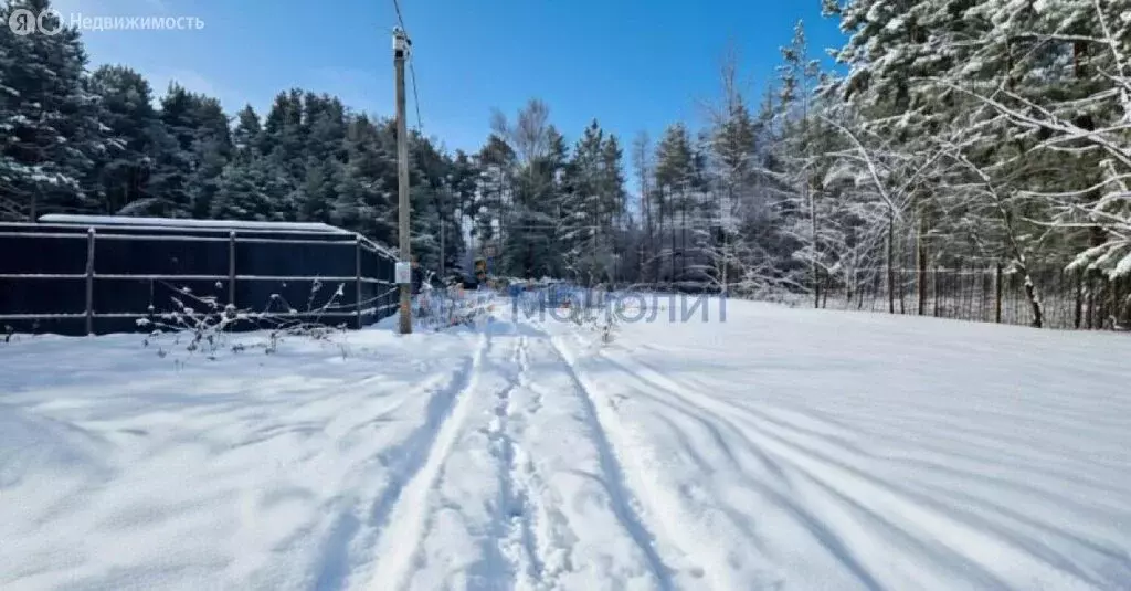 Участок в Нижегородская область, Городецкий муниципальный округ, ... - Фото 2