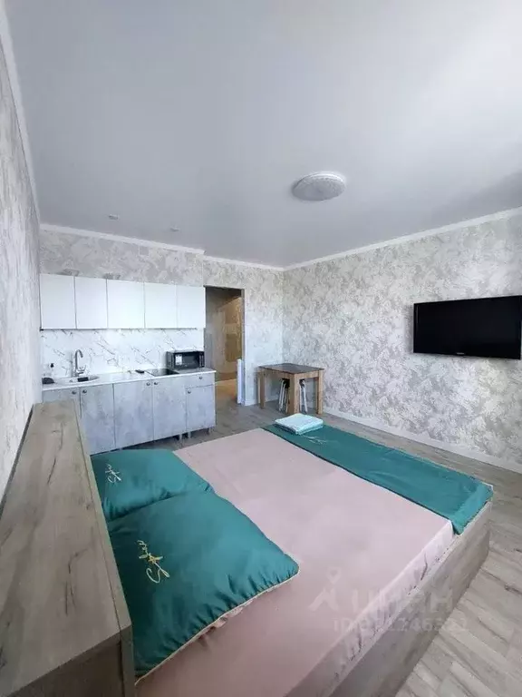 Студия Оренбургская область, Оренбург Квартальный пер., 4/1 (27.2 м) - Фото 2