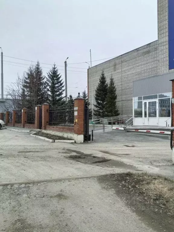 Помещение свободного назначения в Алтайский край, Барнаул просп. ... - Фото 1