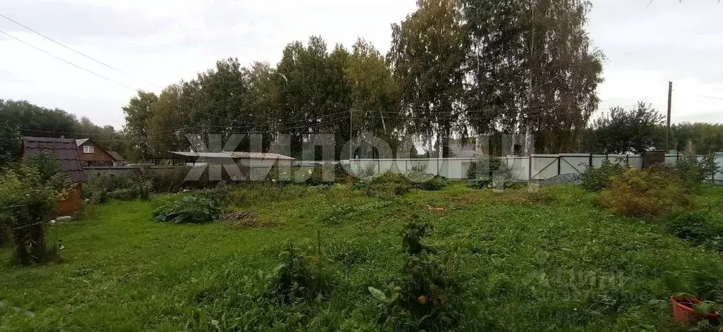 Участок в Новосибирская область, Новосибирский район, Барышевский ... - Фото 1