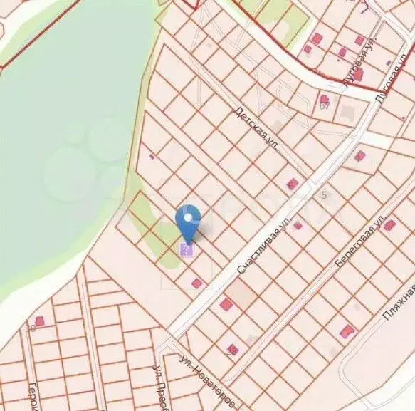 Участок в Алтайский край, Первомайский район, с. Санниково ул. ... - Фото 2