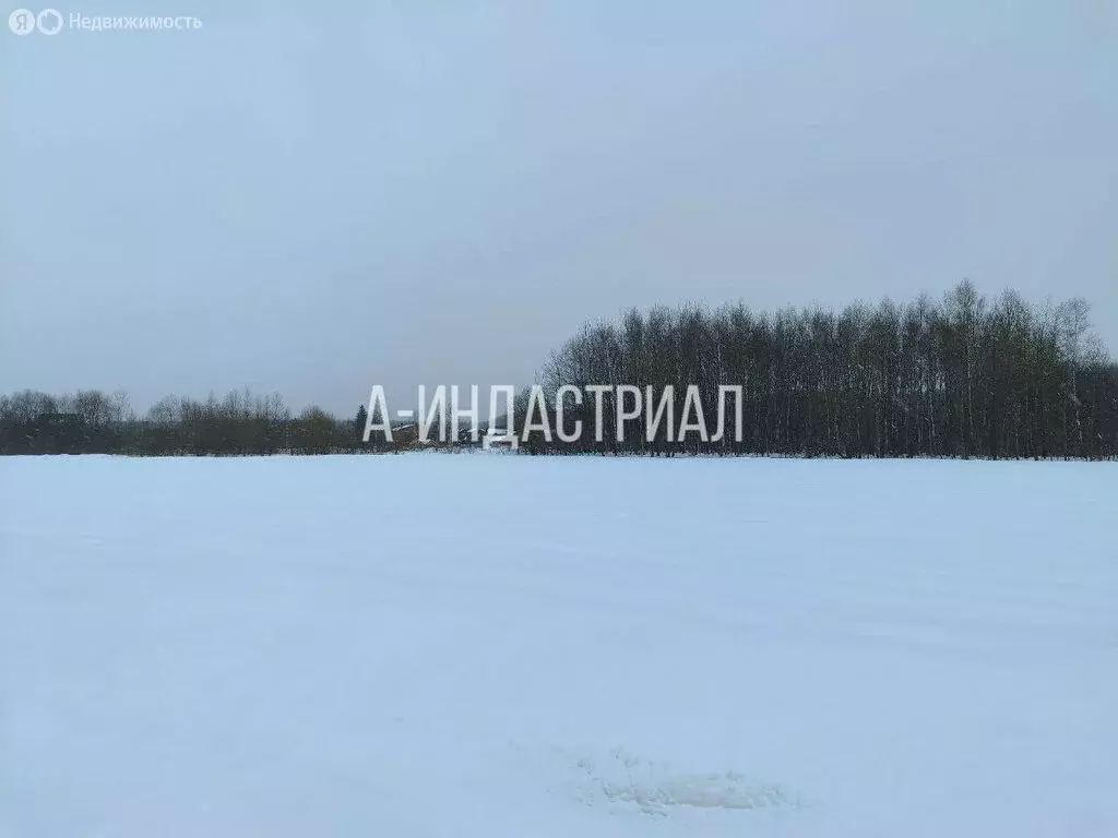 Участок в микрорайон Белые Столбы, Рождественская улица, 1 (100 м) - Фото 1