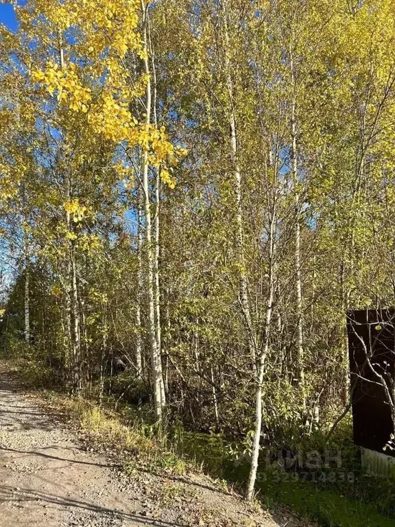 Участок в Санкт-Петербург, Санкт-Петербург, Павловск Павловское-2 СНТ, ... - Фото 2