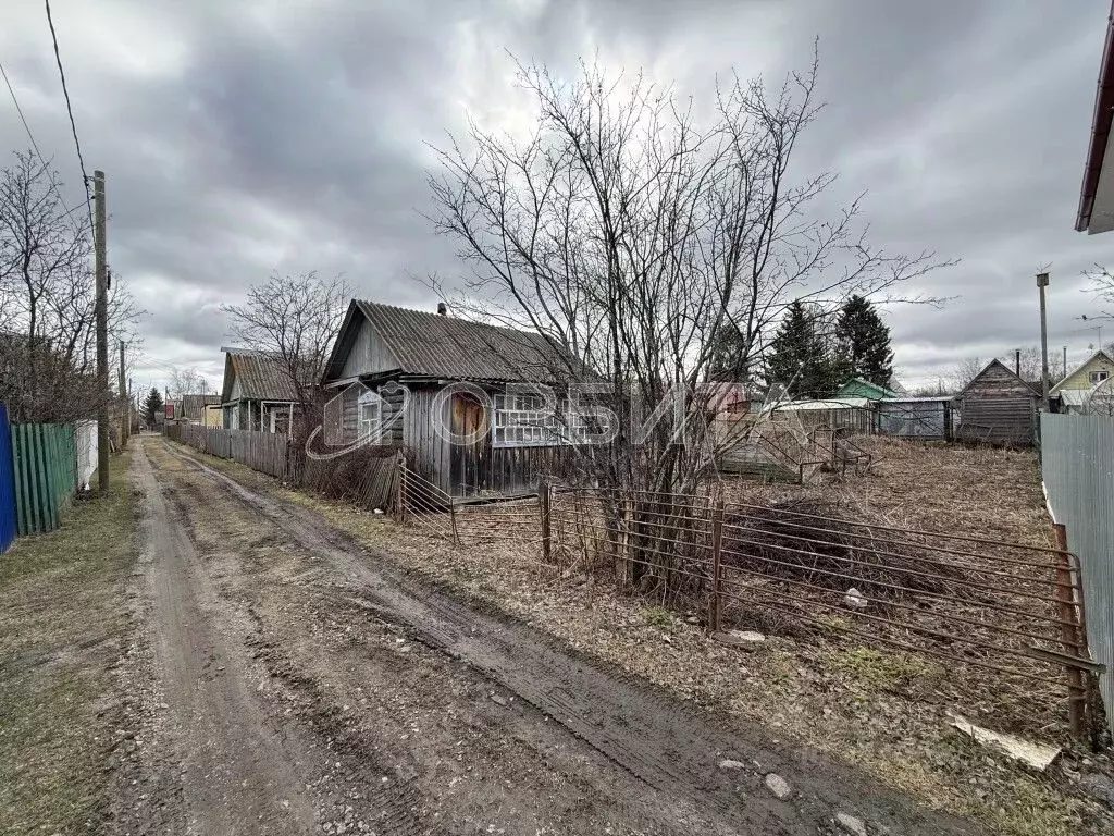 Участок в Тюменская область, Тюмень СОСН Рябинка тер., ул. Целинная ... - Фото 2