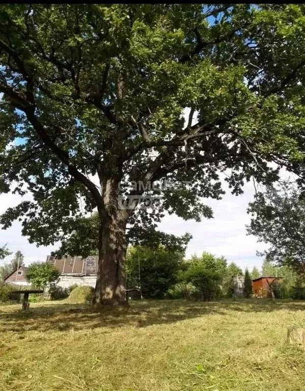 Участок в Калужская область, Перемышльский муниципальный округ, ... - Фото 1