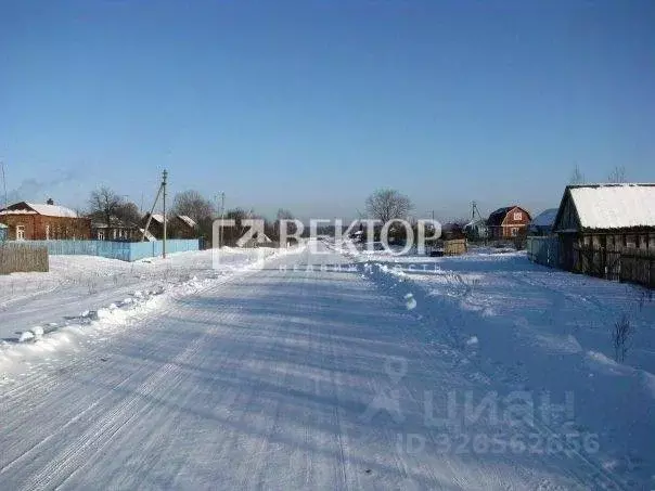 Участок в Костромская область, Костромской район, Сущевское с/пос, д. ... - Фото 2