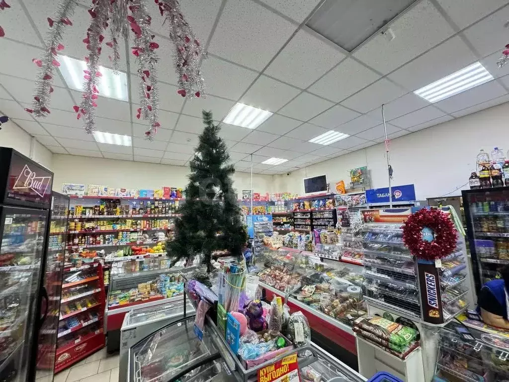 Торговая площадь в Свердловская область, Талица Ромашковая ул., 5 (86 ... - Фото 1