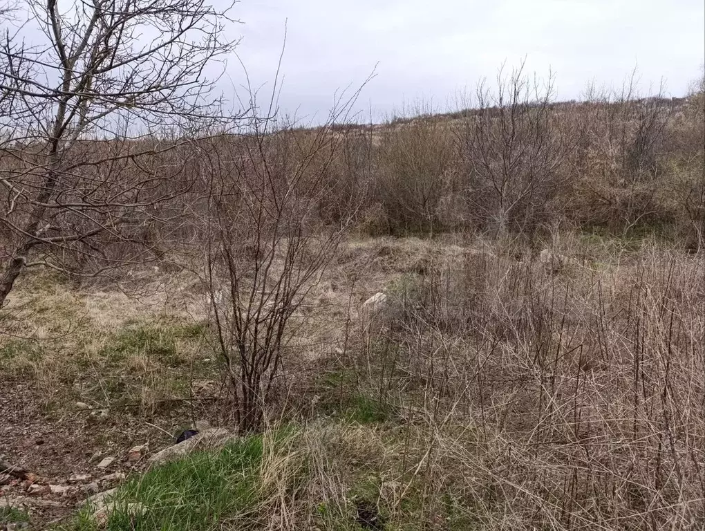 Участок 9,2 сот. (ИЖС) - Фото 0