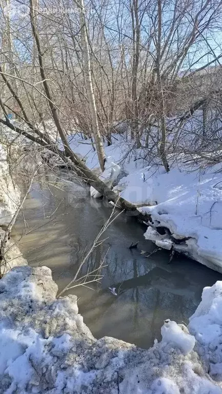 Участок в Новосибирск, СНТ Заречный (370 м) - Фото 2