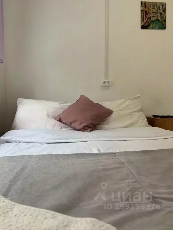 1-к кв. Архангельская область, Архангельск ул. Попова, 21 (18.0 м) - Фото 2