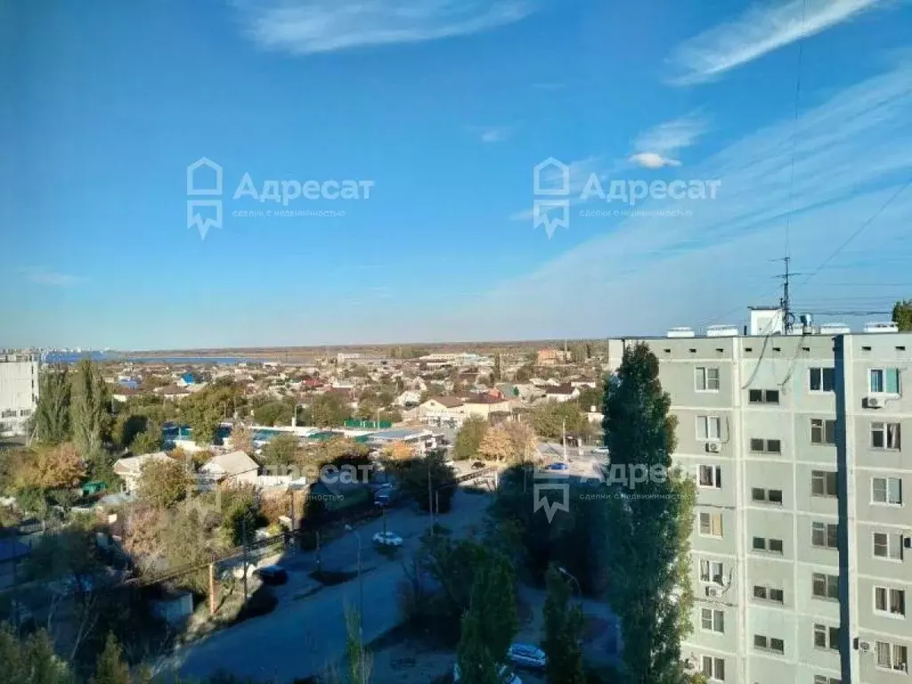 2-к кв. Волгоградская область, Волгоград ул. Кирова, 98 (50.1 м) - Фото 2