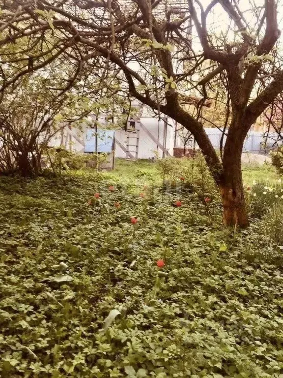 Участок в Калининградская область, Калининград Весна СНТ, ул. ... - Фото 1
