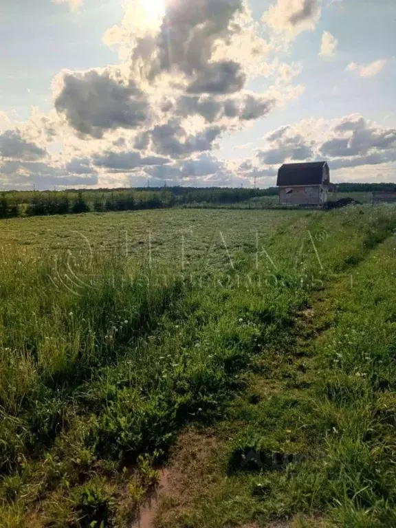 Участок в Ленинградская область, Гатчинский район, д. Лампово ... - Фото 0