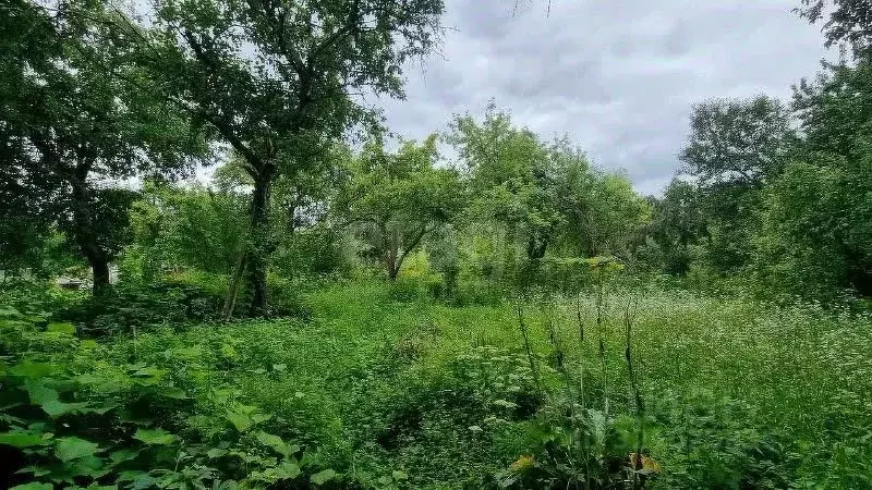 Участок в Брянская область, Брянск Строитель-3 садоводческое ... - Фото 0