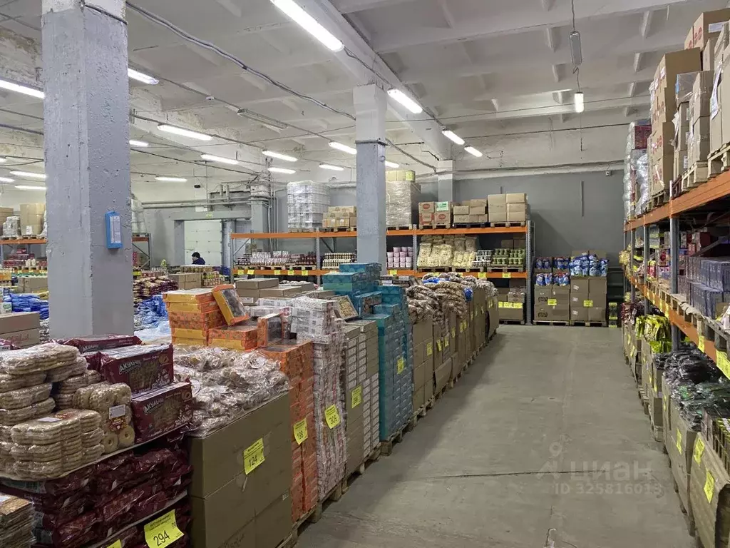 Помещение свободного назначения в Архангельская область, Котлас ш. ... - Фото 1