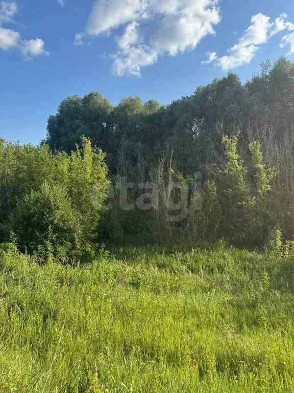 Участок в Курская область, Курский район, Щетинский сельсовет, Лесок ... - Фото 0