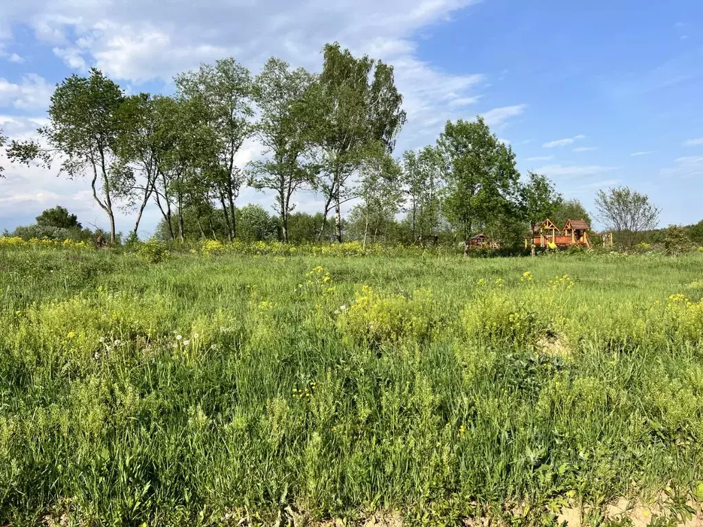 Участок в Московская область, Волоколамский муниципальный округ, Эко ... - Фото 1