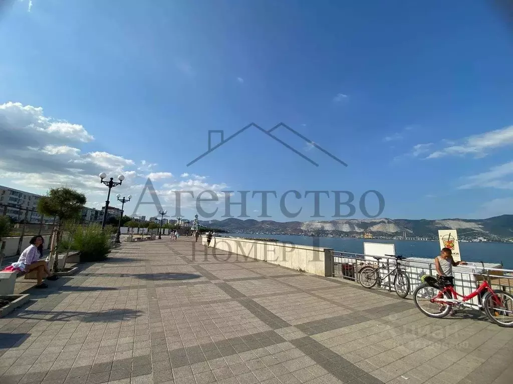 2-к кв. Краснодарский край, Новороссийск просп. Ленина, 34 (43.9 м) - Фото 0