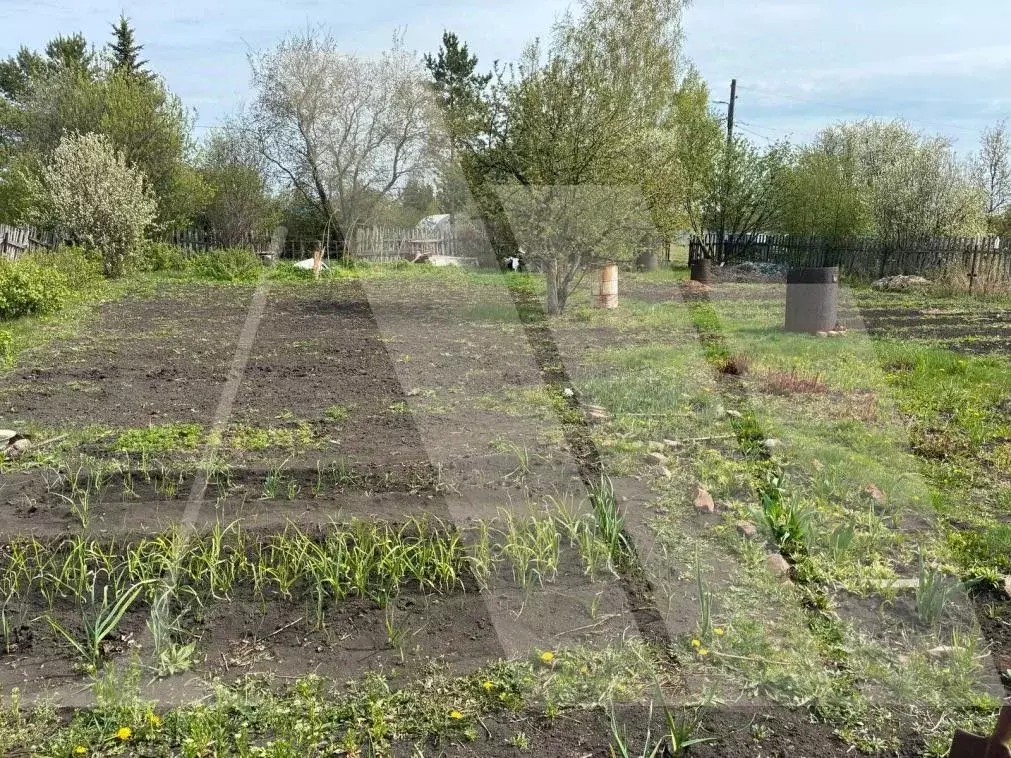 Дом в Омская область, Омский район, Дружинское с/пос, Мечта-92 СНТ ... - Фото 1