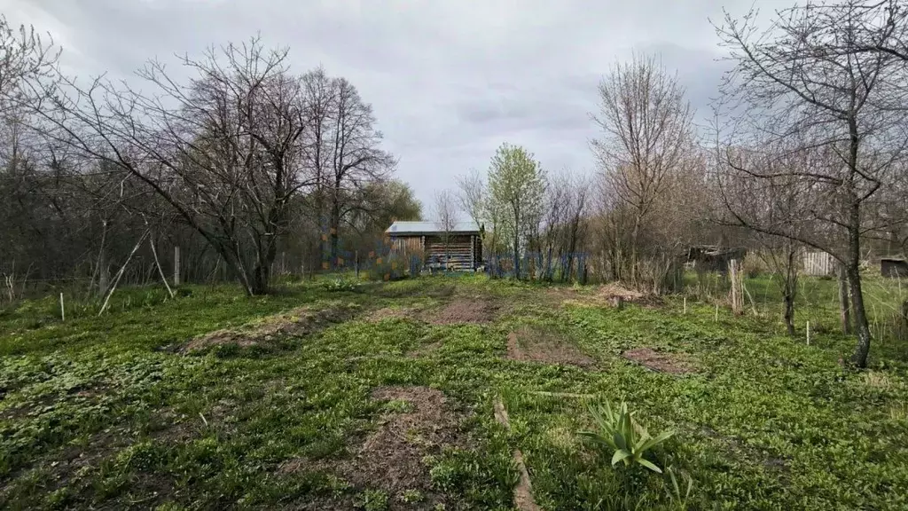 Дом в Нижегородская область, Бутурлинский муниципальный округ, с. ... - Фото 1