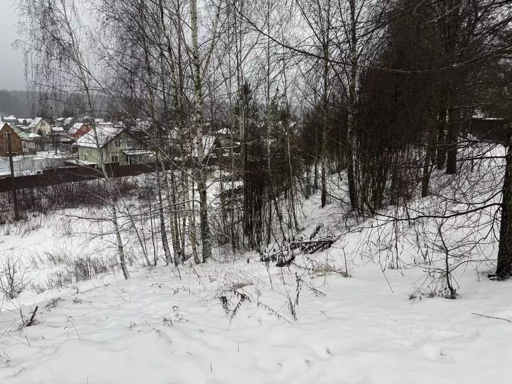 Участок в Московская область, Пушкинский городской округ, д. Лепешки  ... - Фото 1