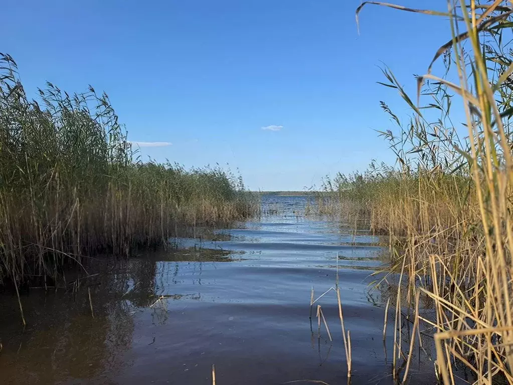 Участок в Ленинградская область, Приозерский район, Красноозерное ... - Фото 1