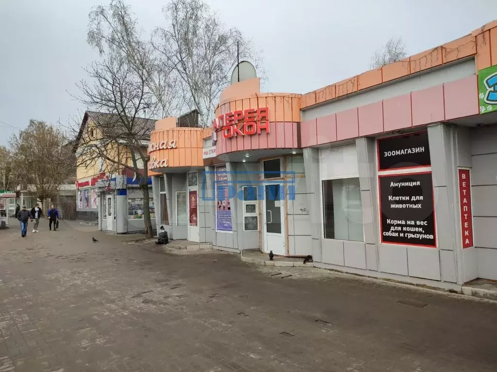 Аренда помещения курск