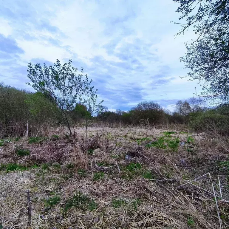 Участок в Тверская область, Кимрский муниципальный округ, д. Пекуново  ... - Фото 2