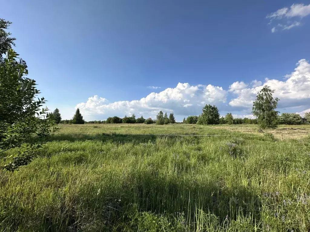 Участок в Курская область, Курск Красная пл. (10.0 сот.) - Фото 2