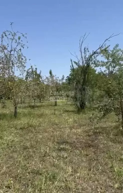 Участок 75 сот. (ИЖС) - Фото 1