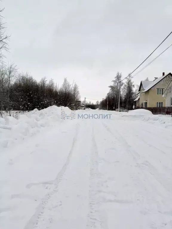 Участок в Нижегородская область, с. Дивеево ул. Дружная (10.3 сот.) - Фото 1
