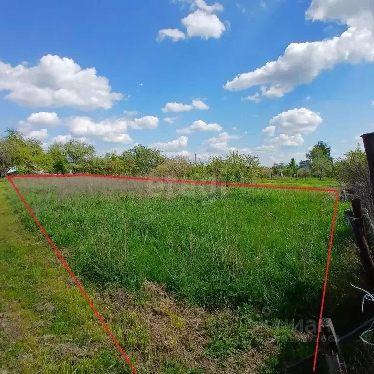 Участок в Владимирская область, Муром с. Борисово, ул. Октябрьская, 28 ... - Фото 1