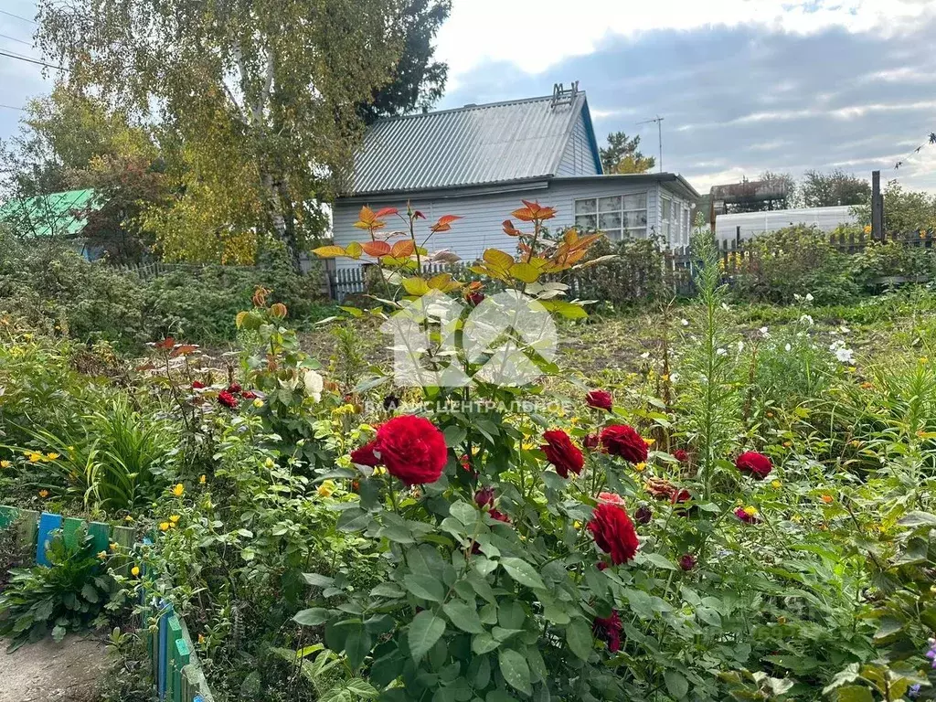 Дом в Новосибирская область, Новосибирский район, Толмачевский ... - Фото 2