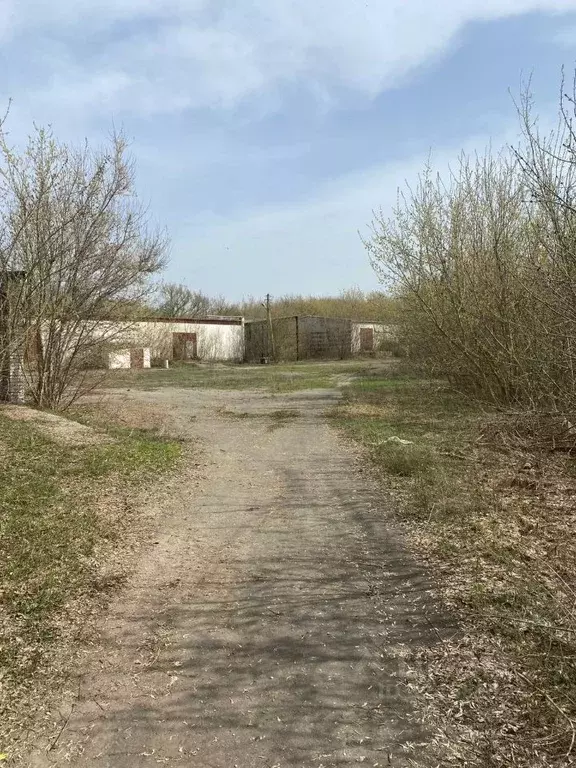 Склад в Тамбовская область, Жердевка пос. Савальский 1-й,  (4000 м) - Фото 2