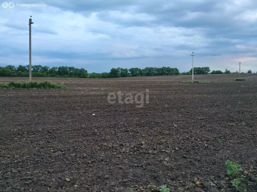 Участок в Лискинский район, Троицкое сельское поселение, село Троицкое ... - Фото 0