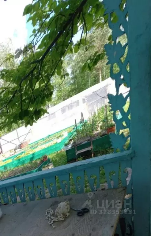 Участок в Саха (Якутия), Якутск городской округ, с. Маган  (5.5 сот.) - Фото 2