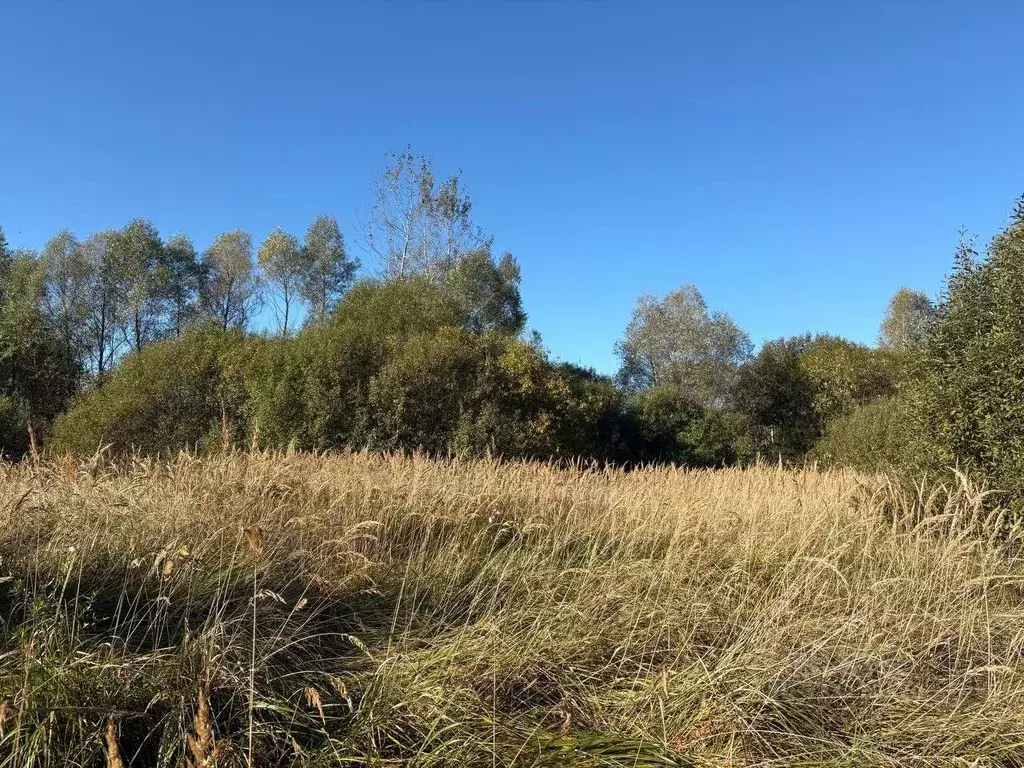 Участок в Московская область, Воскресенск городской округ, Имени ... - Фото 1