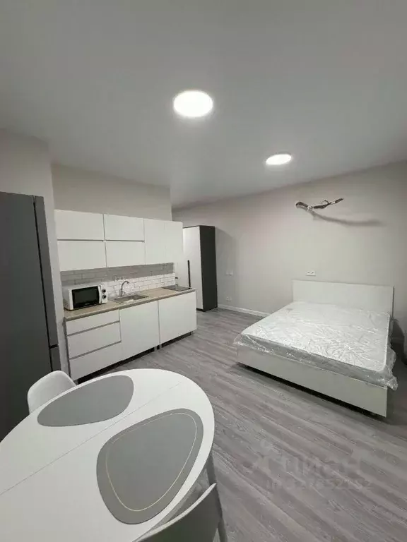 Студия Московская область, Люберцы городской округ, Мирный пгт ул. ... - Фото 1