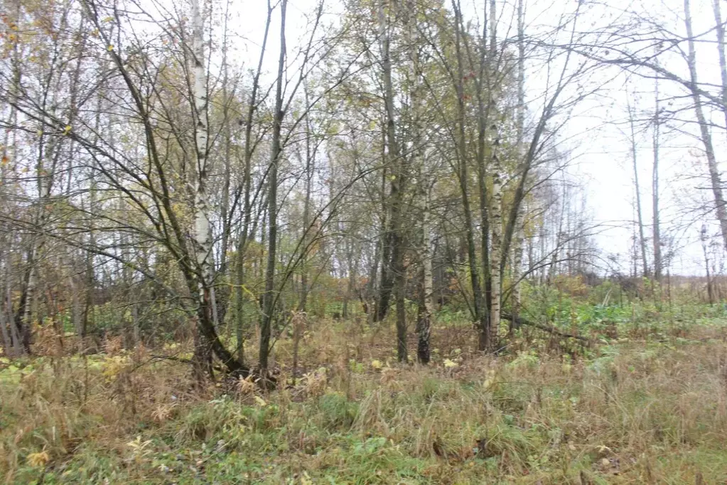 Участок в Москва пос. Рогово, ул. Заречная, 69 (9.33 сот.) - Фото 2