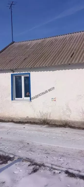 Дом в Калмыкия, Сарпинский район, Шарнутовское с/мо, пос. Шарнут ул. ... - Фото 1