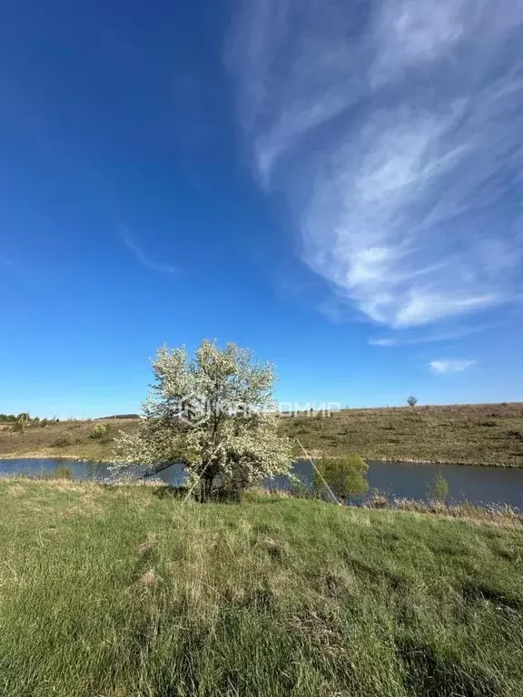 Участок в Орловская область, Орловский муниципальный округ, д. Спицино ... - Фото 2