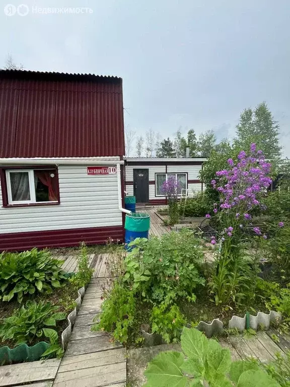 Дом в село Черная Речка, СНТ Авангард (50 м) - Фото 0