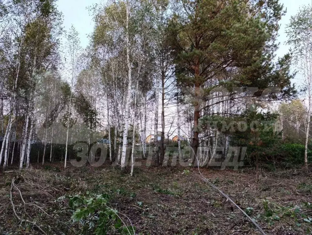 Участок в Тюменская область, Нижнетавдинский муниципальный округ, ... - Фото 2