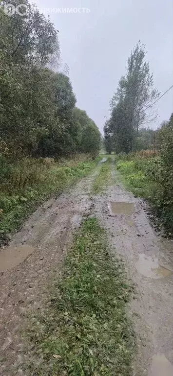 Участок в Волосовский район, Бегуницкое сельское поселение, деревня ... - Фото 1