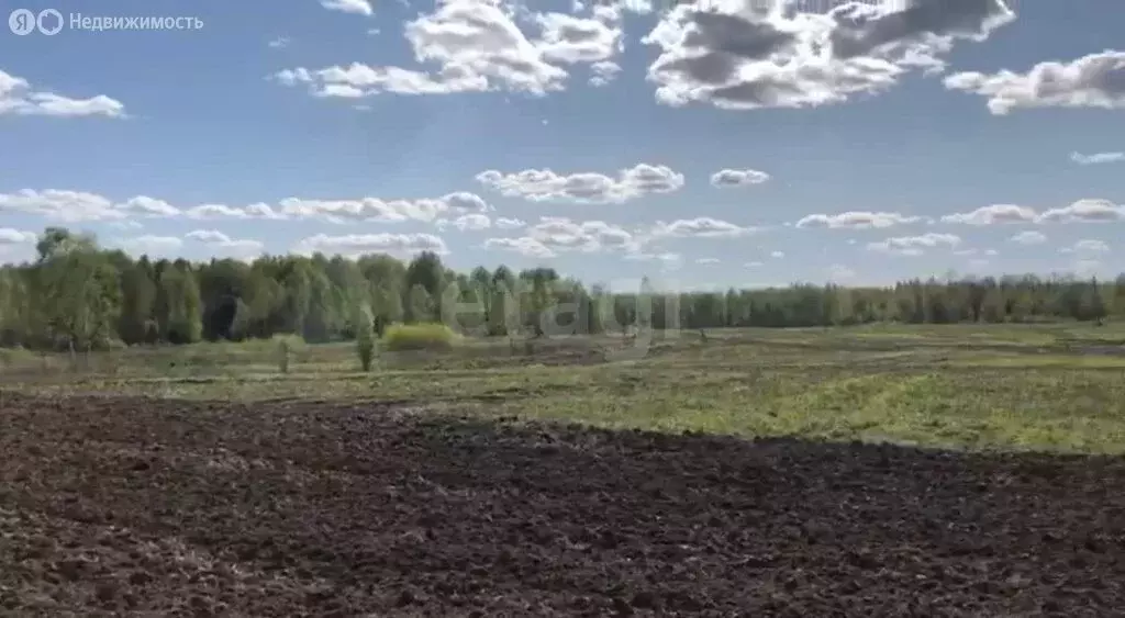 Участок в Почепский район, Дмитровское сельское поселение, посёлок ... - Фото 1